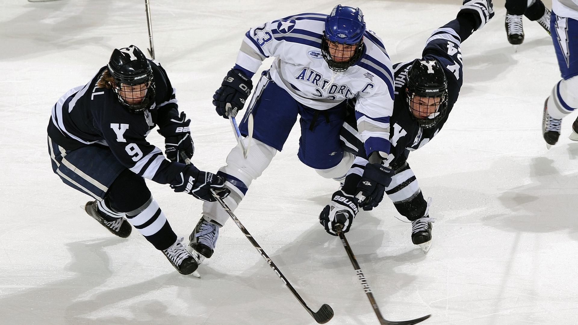 篮球运动员综合素质提升培训体系完善，篮球运动员素质训练